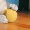 Squadmishali thumbnail