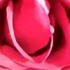 Anuva714 thumbnail