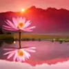 India_TV Thumbnail