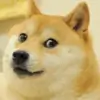 lunakelly89 thumbnail