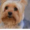 TwixIsBest thumbnail