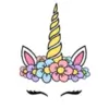 MissWiseUnicorn thumbnail