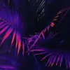 VitaliaRachelle Thumbnail