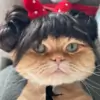 Mona_HappyLife thumbnail