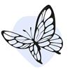Butterflyy thumbnail