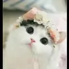 Chocolava5 thumbnail