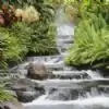 mittijalebi thumbnail