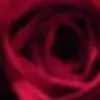 ~sowmya~ Thumbnail