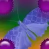 mojazwal thumbnail