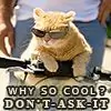 Sara_DONT_ASK Thumbnail
