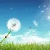 act12 thumbnail