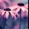 Ishanvii thumbnail