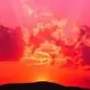 vipashi thumbnail