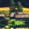 forestry thumbnail