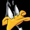 daffy