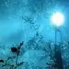 DriftInfinitely thumbnail