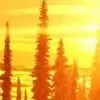 Nikita99 thumbnail