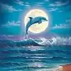 --dolphin-- thumbnail
