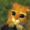 niki_09 thumbnail