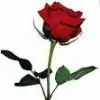 missindia26 thumbnail