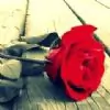 Namrata_12 Thumbnail