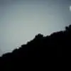 seema_aec thumbnail