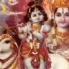 nidha1983 thumbnail
