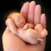 divvya thumbnail