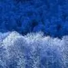 suzana_aarya thumbnail