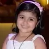 nivi.divi thumbnail