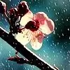 ~Rinki~ thumbnail