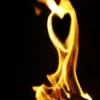 --Saaki-- thumbnail