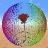 afghanitam thumbnail