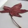Mahu34 thumbnail