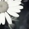 mbibi thumbnail
