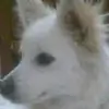 cutyv thumbnail