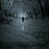 Fallen Star thumbnail