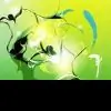 everlastingword thumbnail
