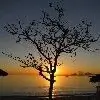 hamzanuha thumbnail