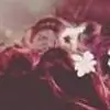 -SanzAngel- thumbnail