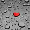 nish0910 thumbnail