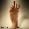 goldendame thumbnail