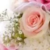 cutie_pie21 thumbnail