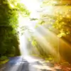 sunnyp1414 thumbnail