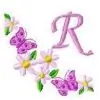 radev2010 thumbnail