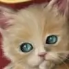 suniks Thumbnail