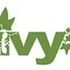ivy_11 thumbnail