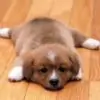 ushali thumbnail
