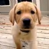 iloveidiotbox Thumbnail