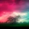 silent_shadow thumbnail